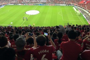 关于夏洛特黄蜂发布备战花絮，国际比赛日遗憾出局，欧联任务艰巨，年轻球员得到机会的信息